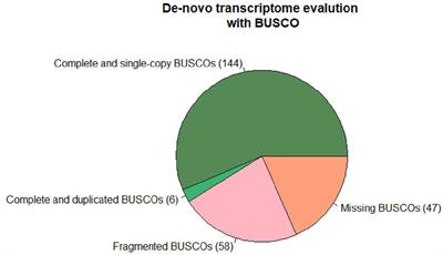 Comparative Transcriptome Analysis in Homo- and Hetero-Grafted Cucurbit Seedlings